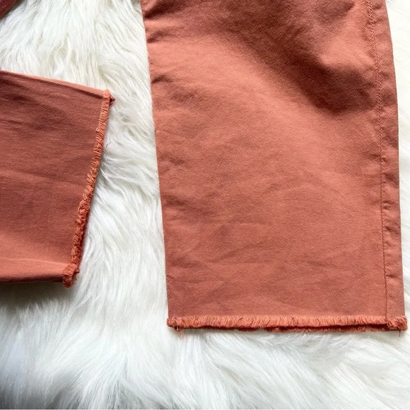 NEW Frank & Eileen BLACK-ROCK Utility Pant Sz 10 ITALIAN PEACHED TWILL Pumpkin - Picture 14 of 16